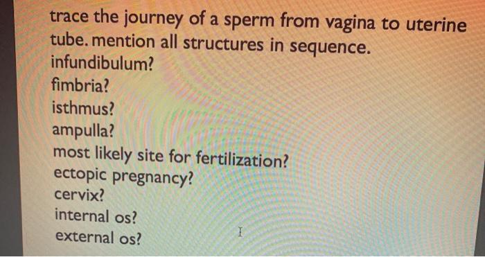 Solved Chapter 26 Reproductive System Somatic Cells And