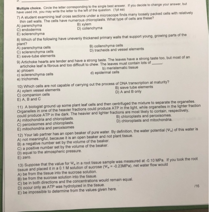 Solved Multiple choice. Circle the letter corresponding to | Chegg.com