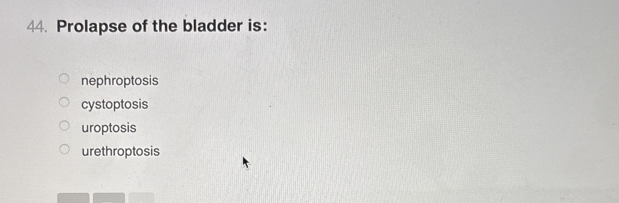 Solved Prolapse of the bladder | Chegg.com
