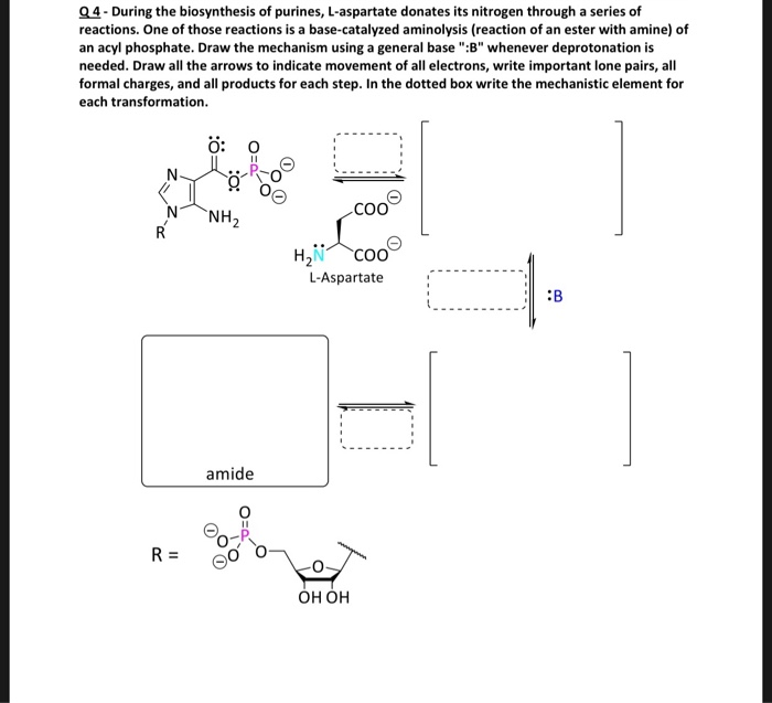 Solved Q4 During The Biosynthesis Of Purines L Aspartat Chegg Com