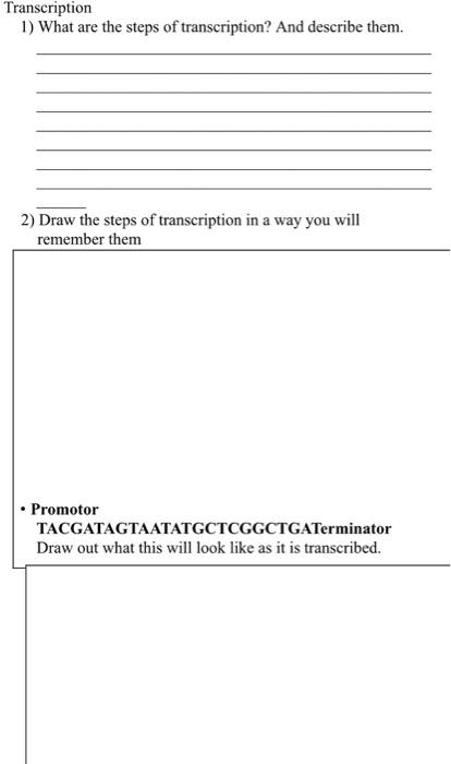 Solved Transcription 1) What are the steps of transcription? | Chegg.com