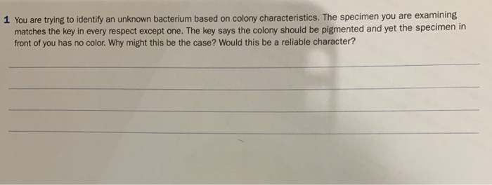 Solved You are trying to identify an unkown bacterium based | Chegg.com