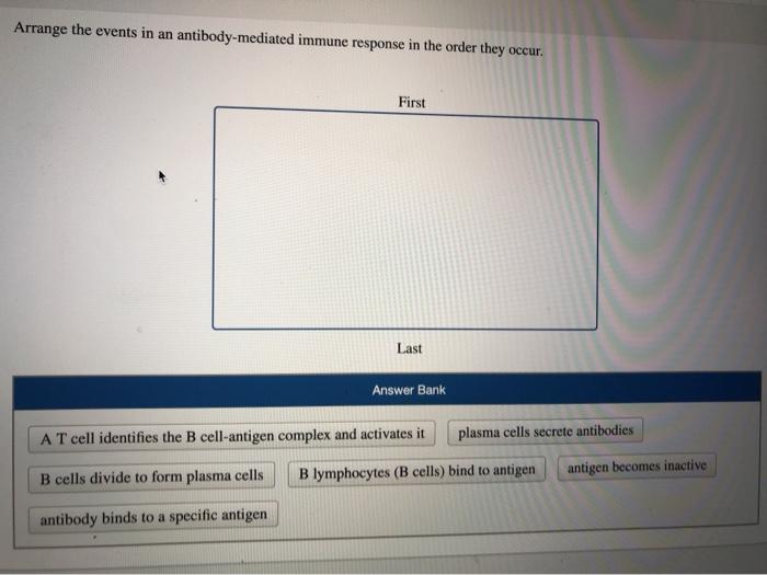 Solved Arrange the events in an antibody-mediated immune | Chegg.com