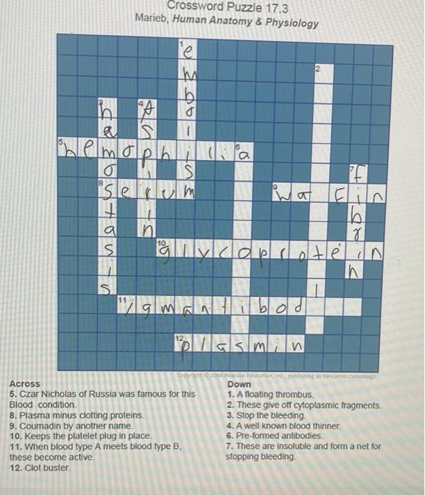 Solved Crossword Puzzle 17.3 Marieb, Human Anatomy &