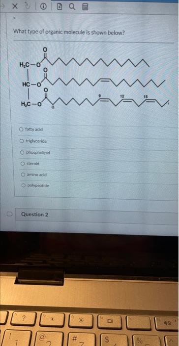 Solved What type of organic molecule is shown below? fatty | Chegg.com