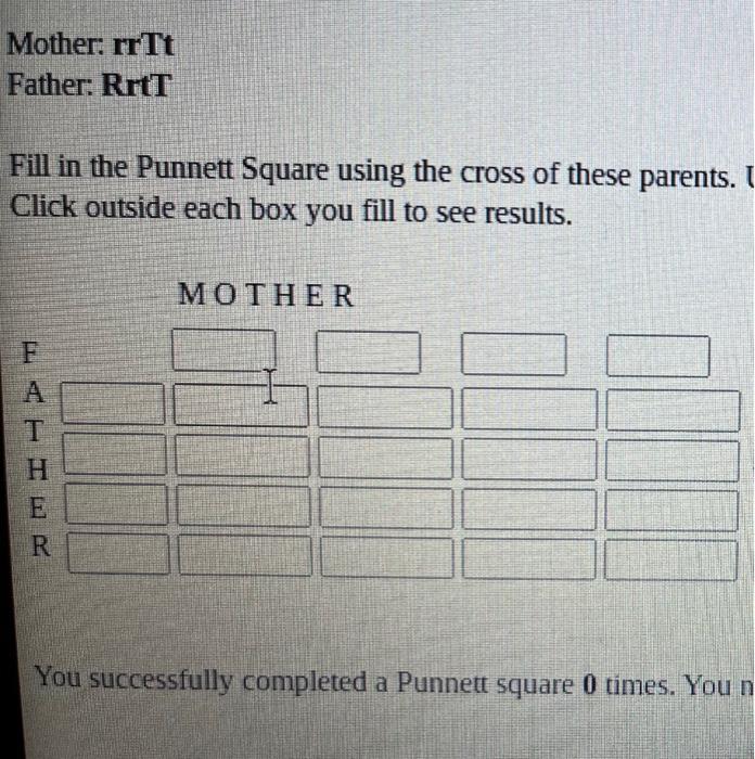 Solved Fill in the Punnett Square using the cross of these | Chegg.com