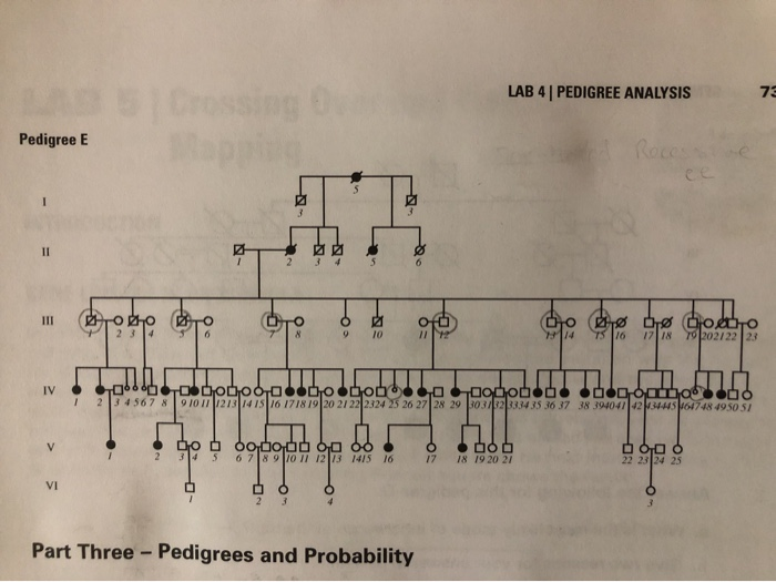 Solved Part Two Sex Limited Inheritance Complete The Fo