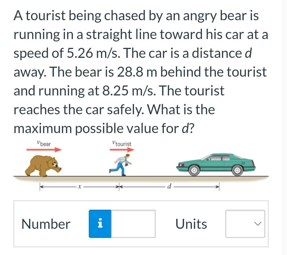 Chased by a Bear: A Tourist's Thrilling Encounter in the Wild