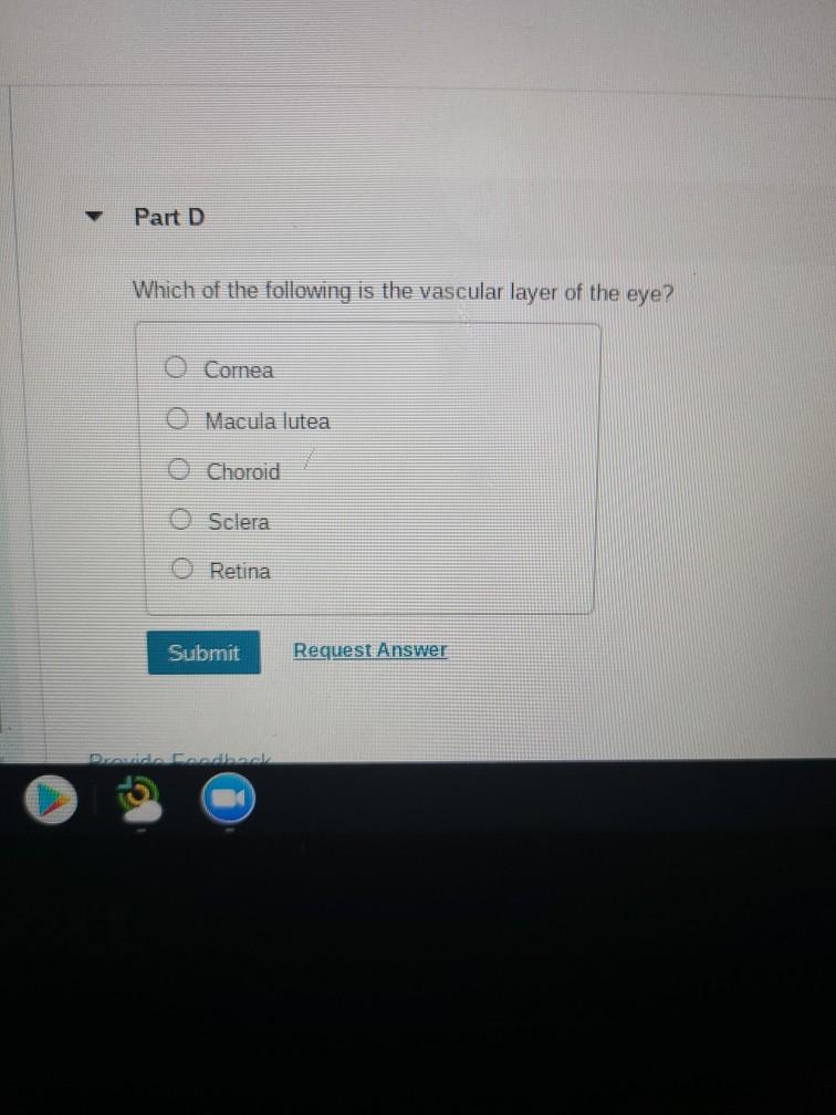 solved-190-part-b-why-does-the-cornea-of-the-cow-eye-appear-chegg