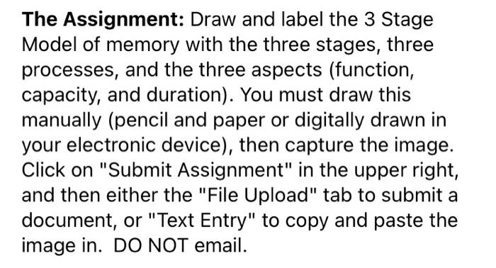Solved The Assignment: Draw and label the 3 Stage Model of | Chegg.com