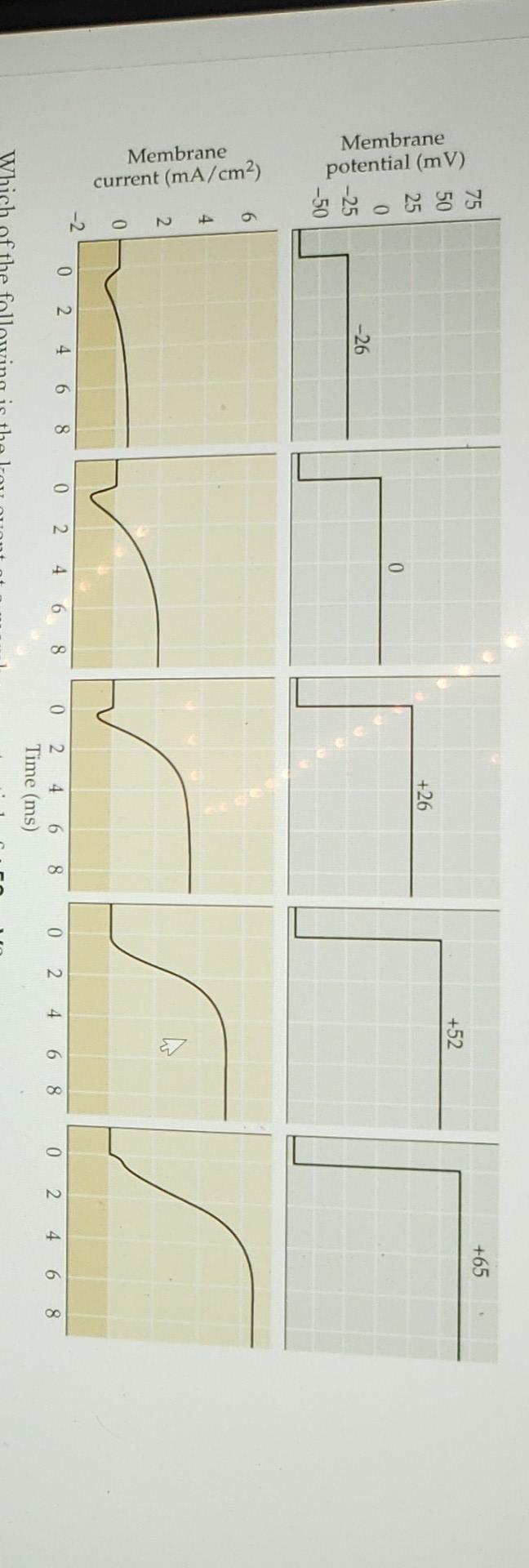 Solved Which of the following is the key event at a membrane | Chegg.com