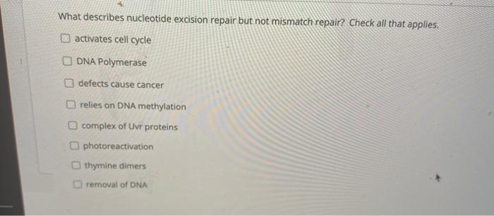 Solved What describes nucleotide excision repair but not | Chegg.com