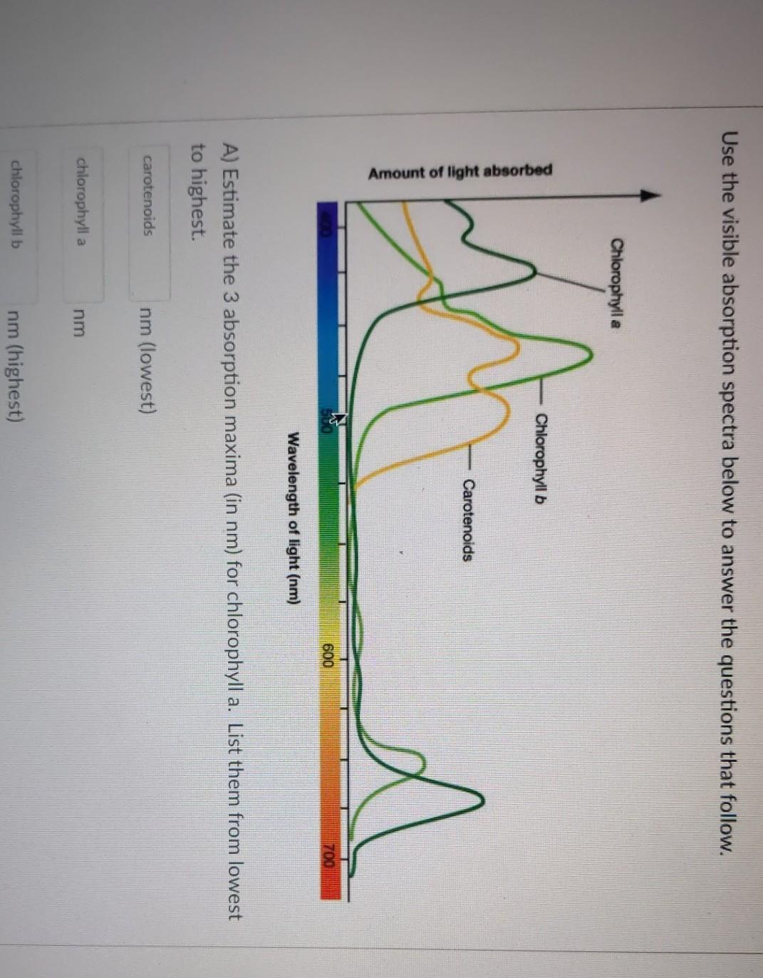 Solved Use the visible absorption spectra below to answer | Chegg.com