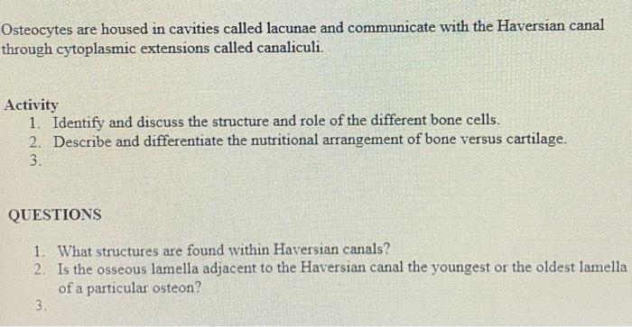 Osteocytes are housed in cavities called lacunae and communicate with the Haversian canal through cytoplasmic extensions call