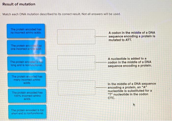 Solved Result of mutation Match each DNA mutation described | Chegg.com