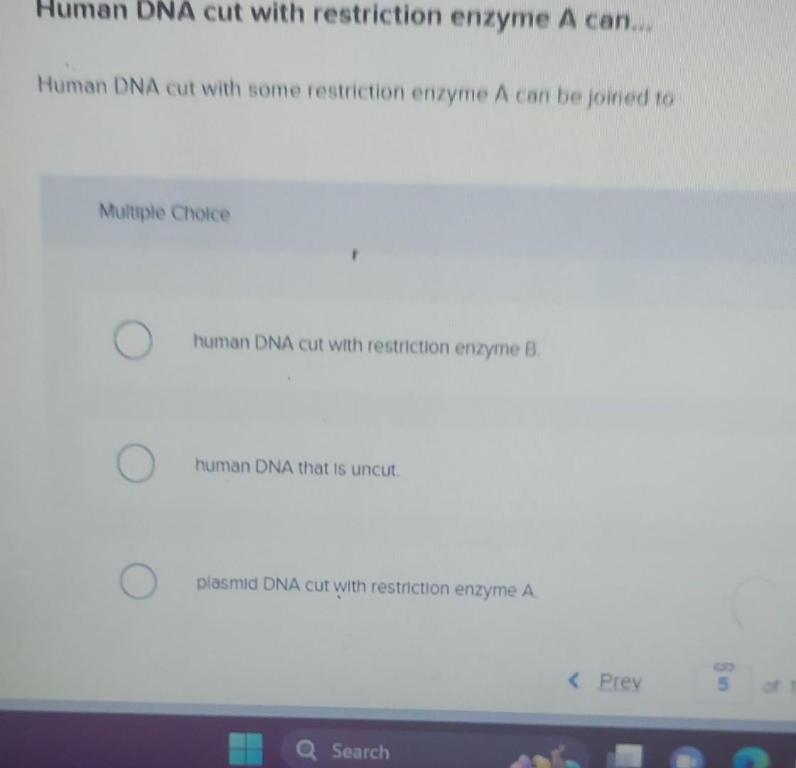Solved Human DNA cut with restriction enzyme A can. Human | Chegg.com