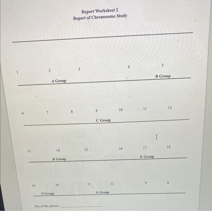 Task 2 To identify chromosomes correctly for a | Chegg.com