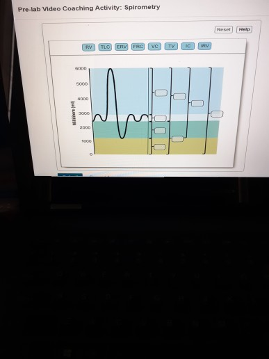 solved-pre-lab-video-coaching-activity-spirometry-reset-chegg