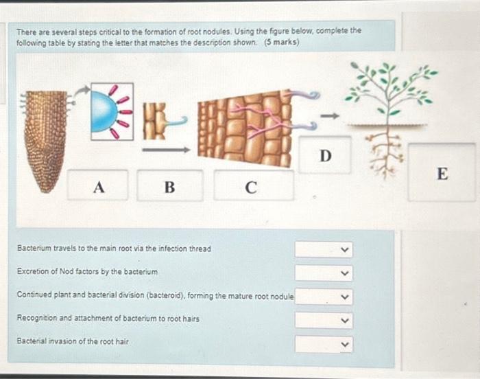 student submitted image, transcription available below