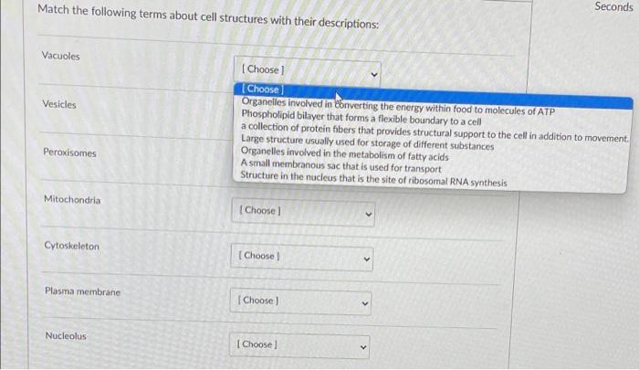 Solved Match the following terms about cell structures with | Chegg.com