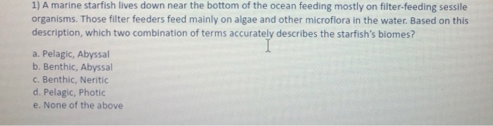 Solved 1 A Marine Starfish Lives Down Near The Bottom Of