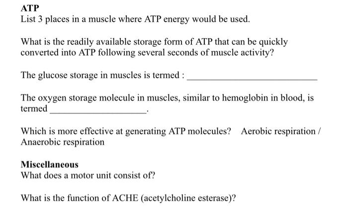 Solved ATP List 3 places in a muscle where ATP energy would | Chegg.com