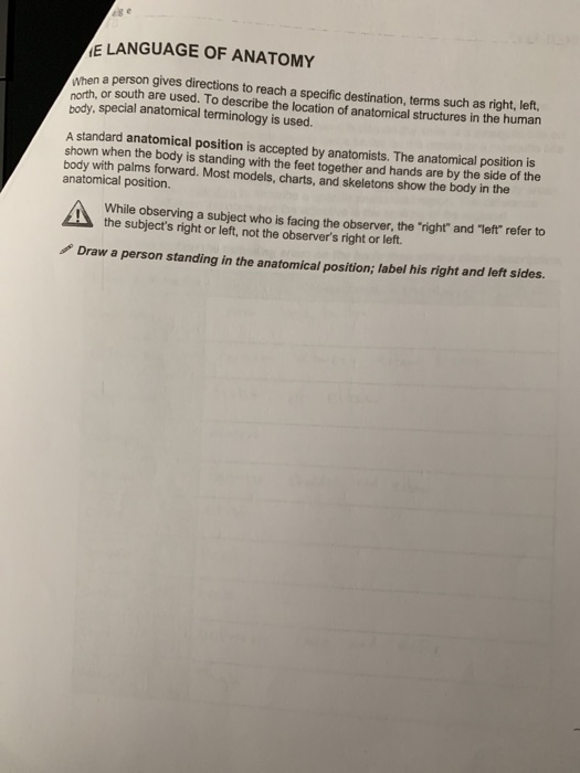 Anatomy And Physiology Archive August 21 2019 Chegg