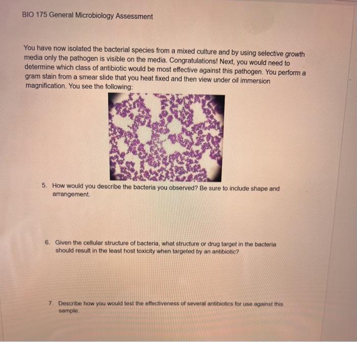 Solved You have now isolated the bacterial species from a | Chegg.com