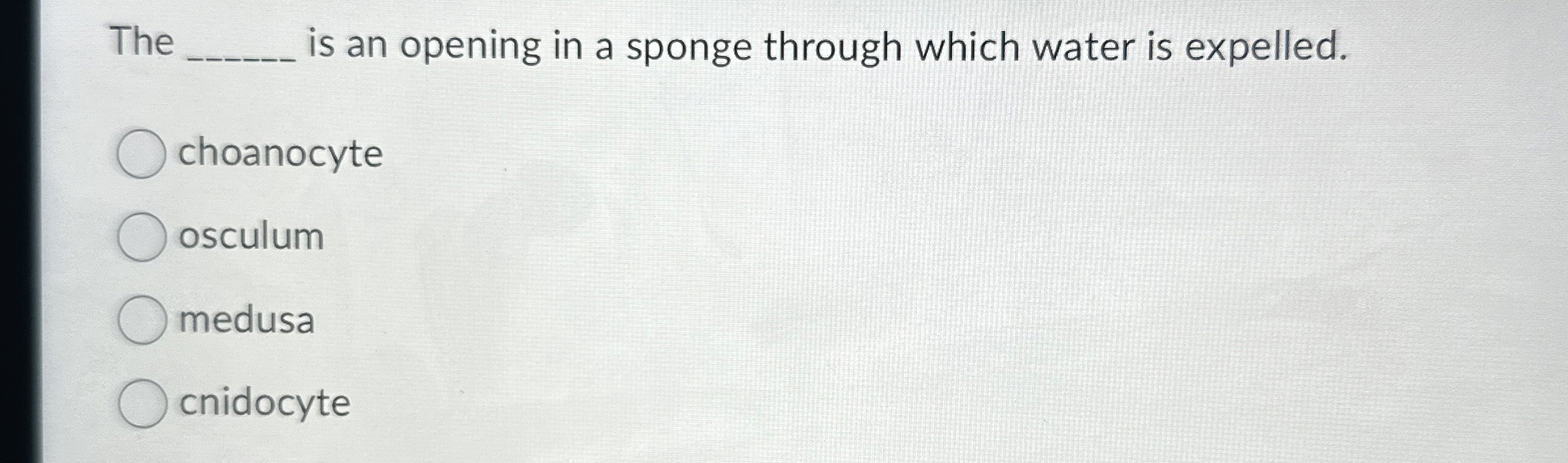 Solved The ﻿is an opening in a sponge through which water | Chegg.com