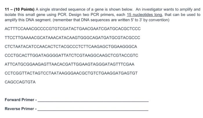 Solved 11 - (10 Points) A single stranded sequence of a gene | Chegg.com