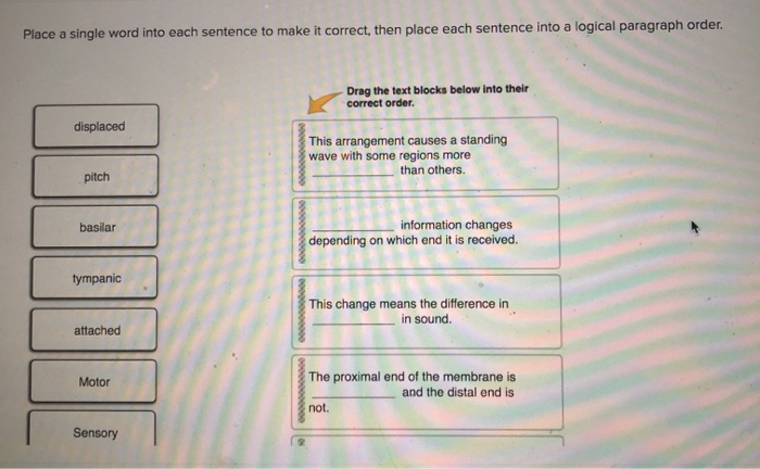 solved-place-a-single-word-into-each-sentence-to-make-it-chegg