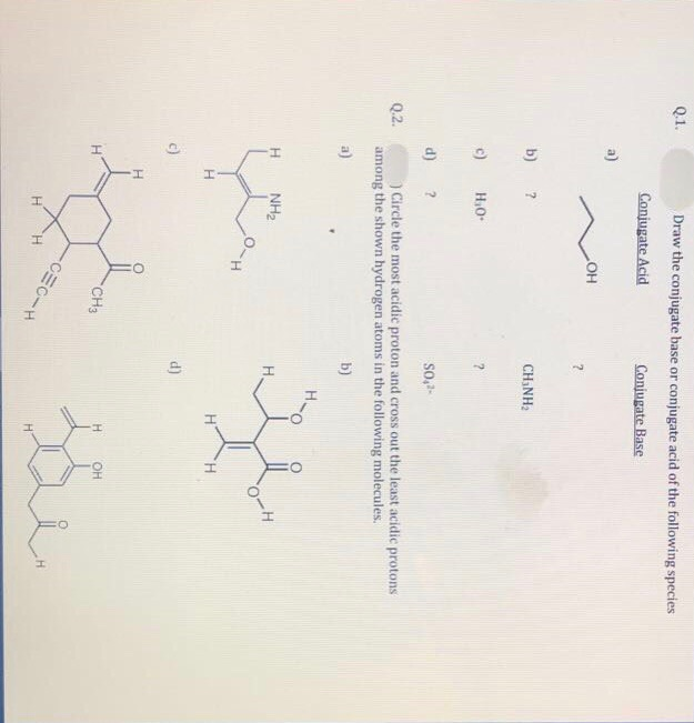 Solved Q.1. Draw The Conjugate Base Or Conjugate Acid Of