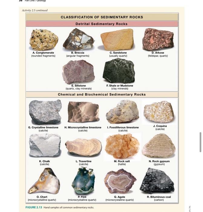 Solved 4. Comparing a detrital sedimentary rock, such as a | Chegg.com