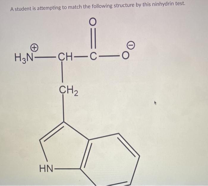 Solved A student is attempting to match the following | Chegg.com