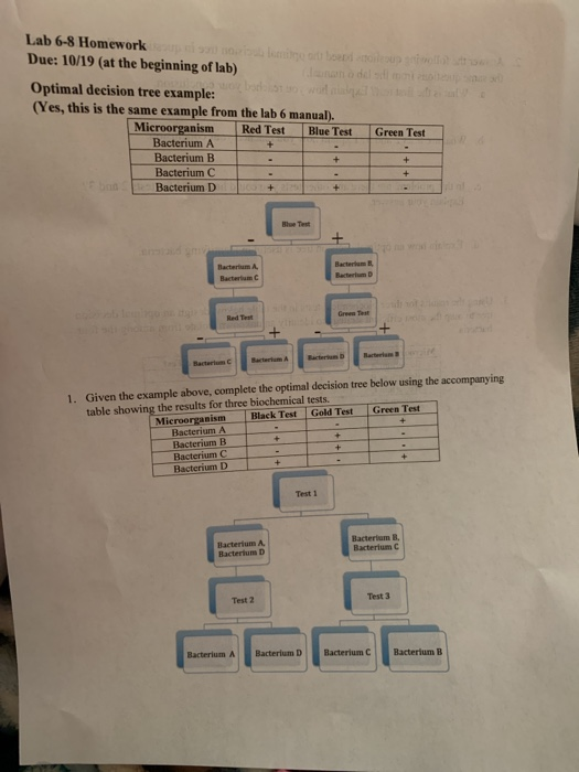 Decision tree lecture notes image
