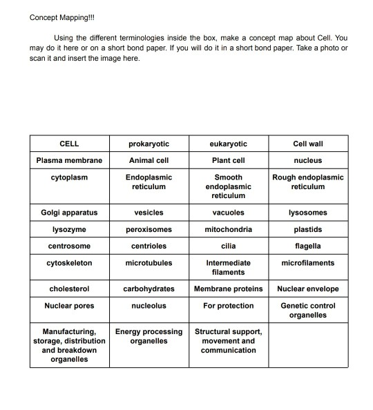 Solved Concept Mapping!!! Using the different terminologies | Chegg.com