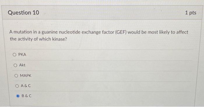 Solved A mutation in a guanine nucleotide exchange factor | Chegg.com