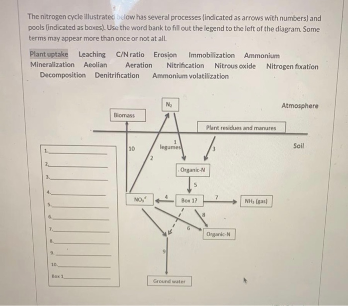 Solved The nitrogen cycle illustrated below has several | Chegg.com