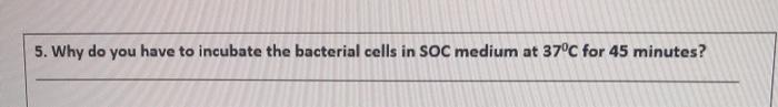 Solved 5. Why do you have to incubate the bacterial cells in | Chegg.com