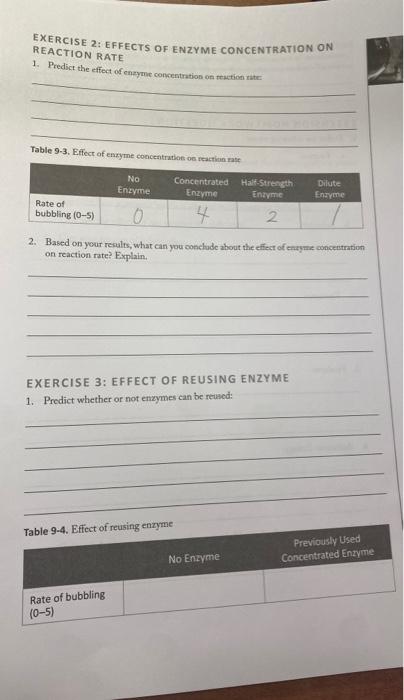 Solved EXERCISE 2: EFFECTS OF ENZYME CONCENTRATION ON | Chegg.com