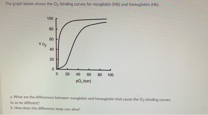 Solved The Graph Below Shows The O2-binding Curves For | Chegg.com