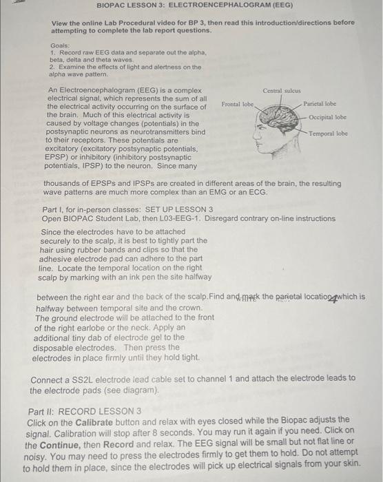 Solved Record The Results From The Lab Procedural Video EEG | Chegg.com