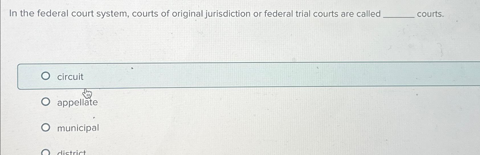 Solved In The Federal Court System, Courts Of Original | Chegg.com