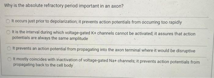 Solved Why Is The Absolute Refractory Period Important In An Chegg Com