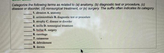 Categorize the following terms as related to (a) anatomy, (b) diagnostic test or procedure, (c) disease or disorder, (d) nons