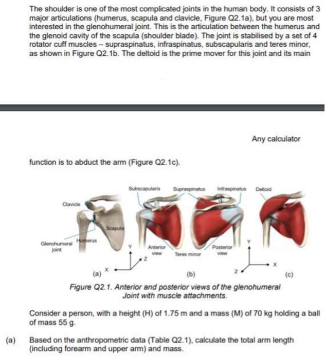 a (1) Total length of the humerus; (4) height of head of the