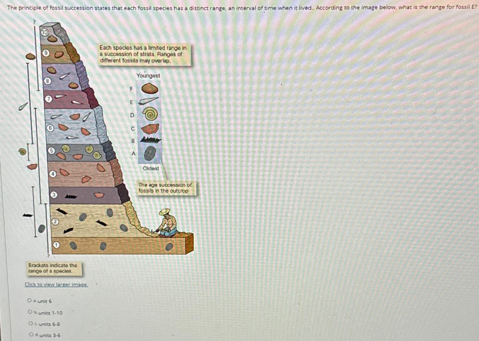 Solved The principle of fossil succession states that each