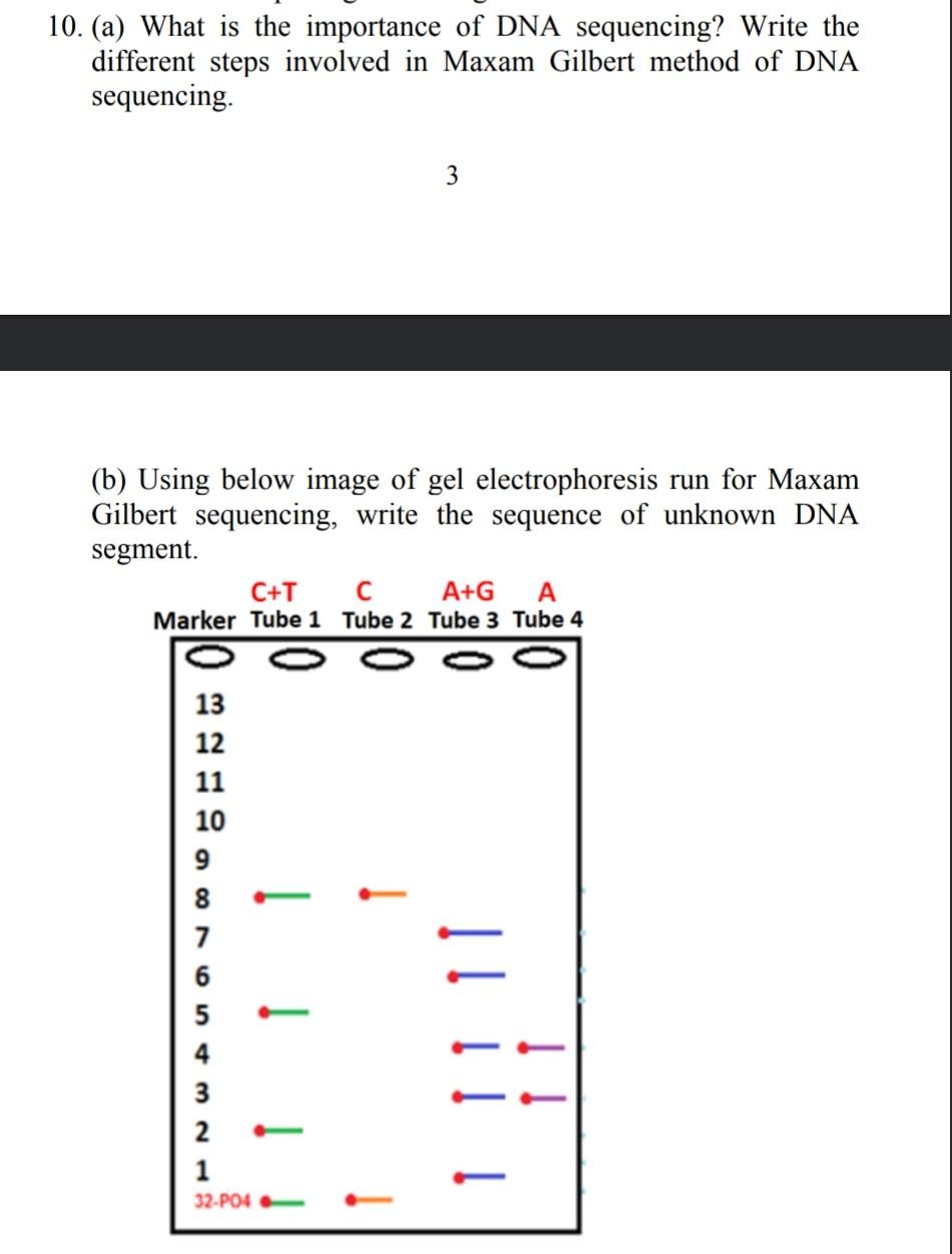Solved 10. (a) What is the importance of DNA sequencing? | Chegg.com
