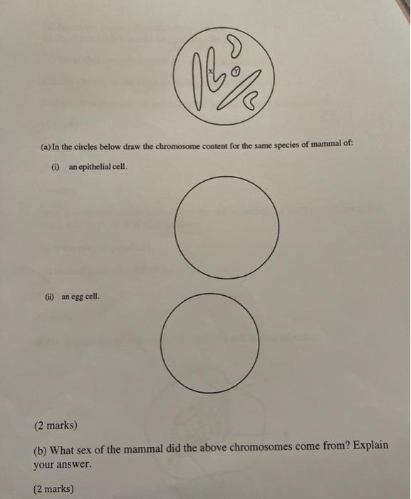 Solved 2. The diagram below shows the chromosomes of a white | Chegg.com