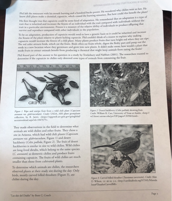 Casillero del diablo image